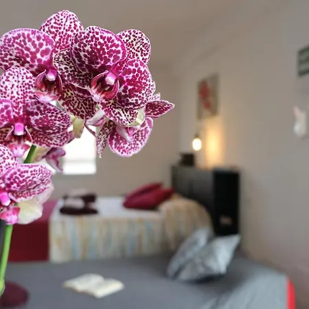 Le Dimore Del Sole Int 7 Apartment Olbia
