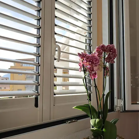 Apartment Le Dimore Del Sole Int 7 *